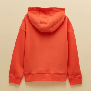 Everyday Hoodie